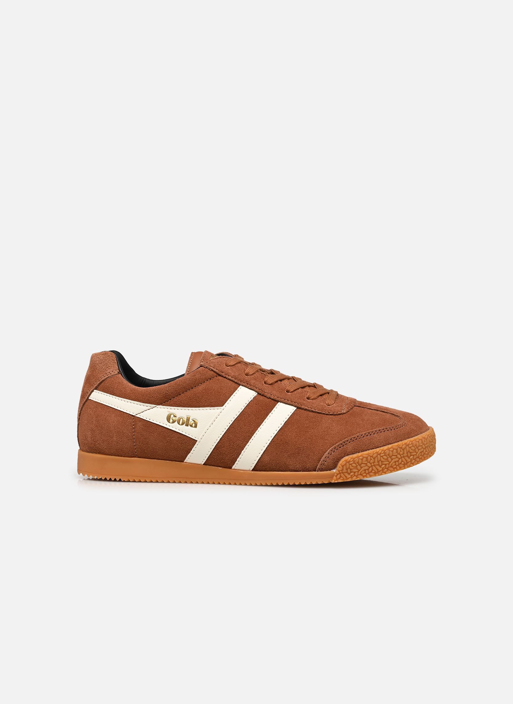 Niedrige Sneaker Harrier Suede herren braun Gola Niedrige Sneaker Harrier Suede herren braun UMBER/OFF WHITE/BLACK
