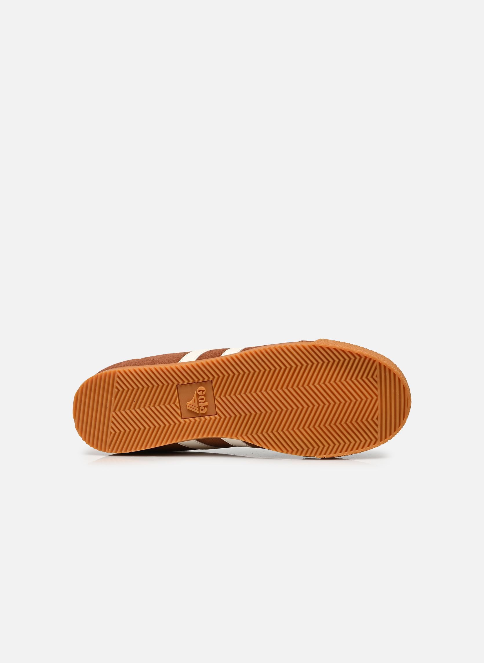 Niedrige Sneaker Harrier Suede herren braun Gola Niedrige Sneaker Harrier Suede herren braun UMBER/OFF WHITE/BLACK