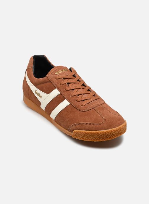 Gola Baskets basses Harrier Suede homme marron