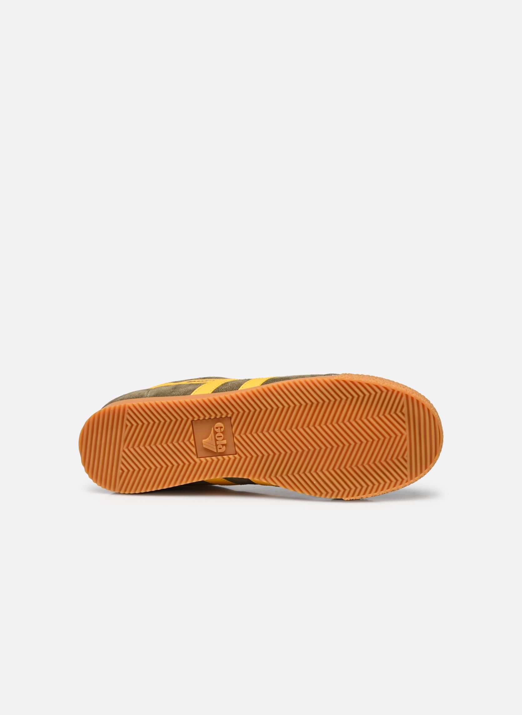Baskets basses Harrier Suede M homme vert Gola Baskets basses Harrier Suede M homme vert KHAKI SUN BLACK
