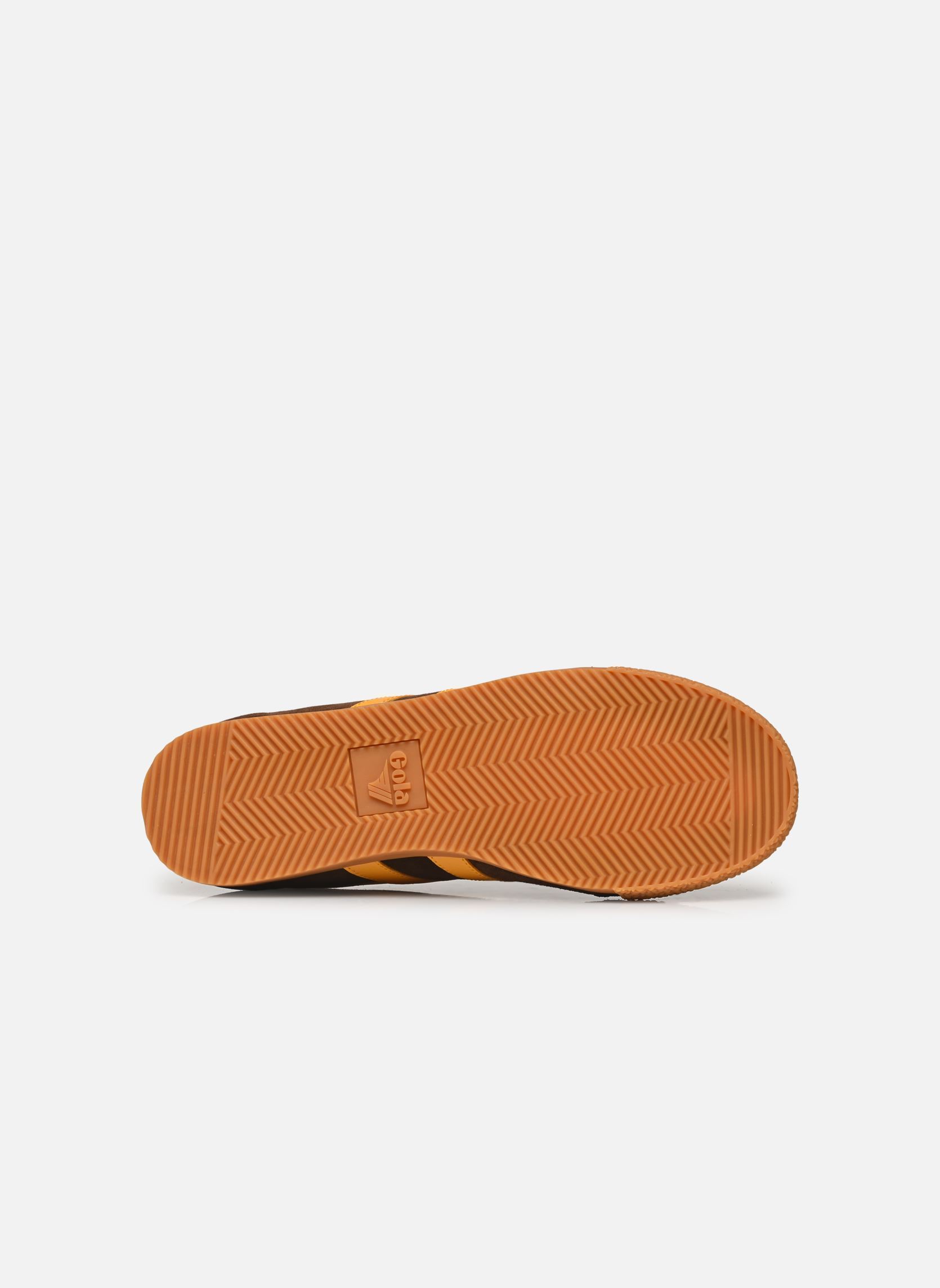 Baskets basses Harrier Suede M homme marron Gola Baskets basses Harrier Suede M homme marron COFFEE/SUN/NAVY
