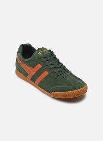 Baskets basses Harrier Suede M homme vert