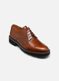 Derbys Harvard herren braun