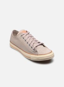 Papyrus/Vachetta Beige