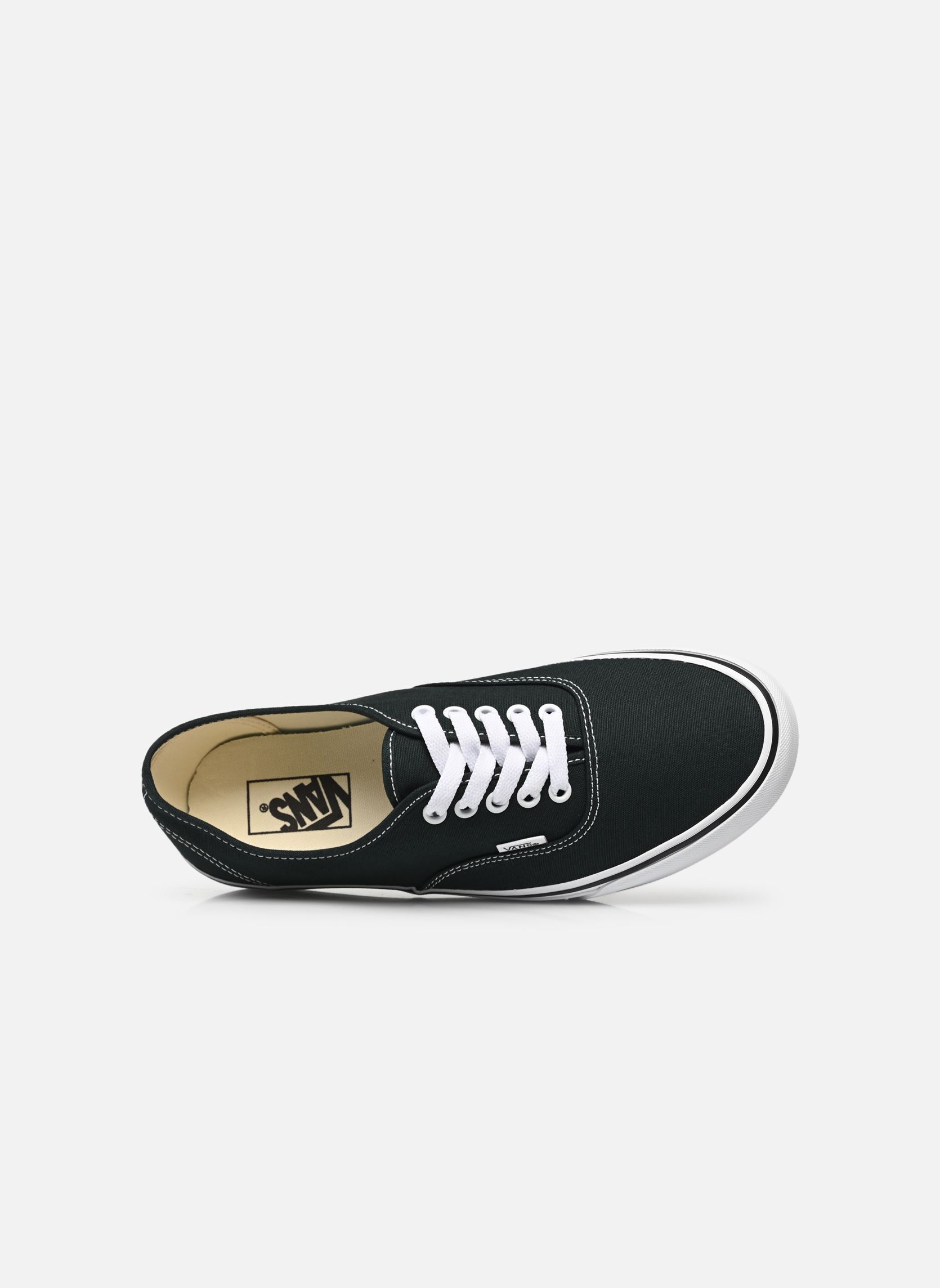 Baskets Authentic M homme vert Vans Baskets Authentic M homme vert COLOR THEORY SCARAB