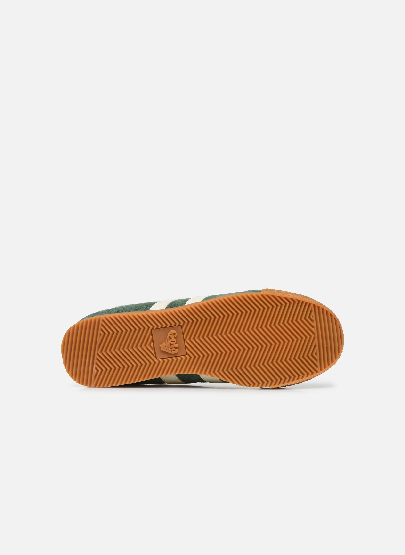 Niedrige Sneaker Harrier Suede herren grün Gola Niedrige Sneaker Harrier Suede herren grün EVERGREENOFF WHITE