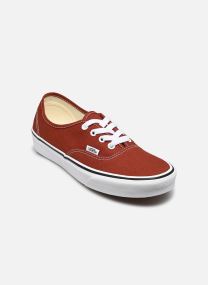 Baskets basses Authentic femme marron