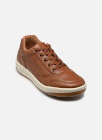 Baskets basses Albana homme marron TBS Made in France Baskets basses Albana homme marron MARRON