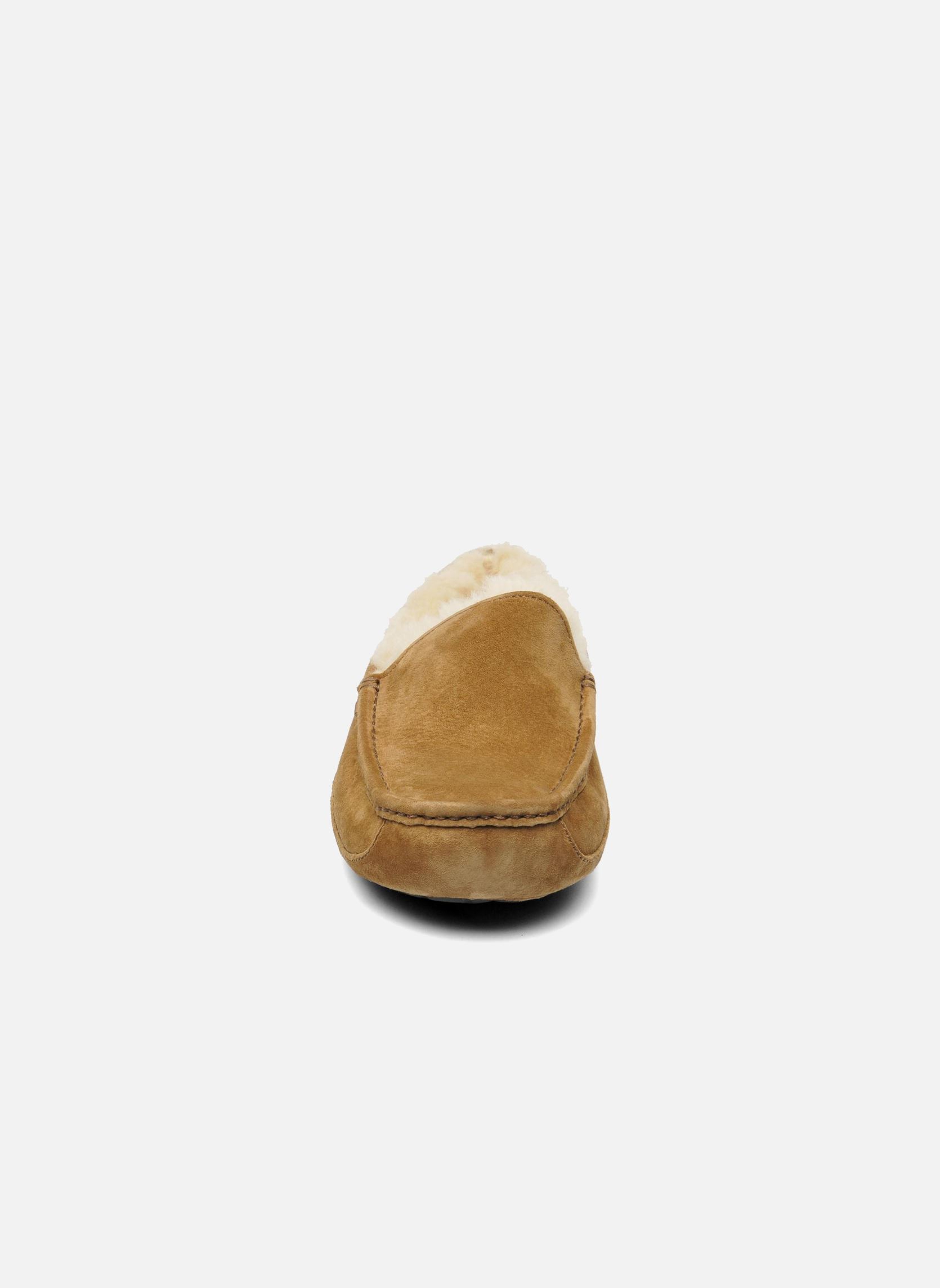 Chaussons Ascot homme beige UGG Chaussons Ascot homme beige CHESTNUT
