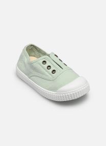 Niedrige Sneaker 1915 Puntera Lona Tintada DREC grün