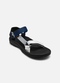 Sandales et mules Winsted homme gris
