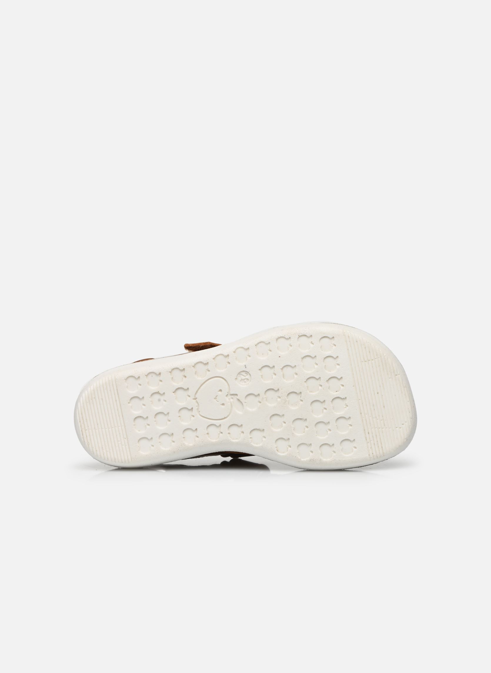 Sandalen Goa Boy Scratch jungen braun Shoo Pom Sandalen Goa Boy Scratch jungen braun CAMEL 22