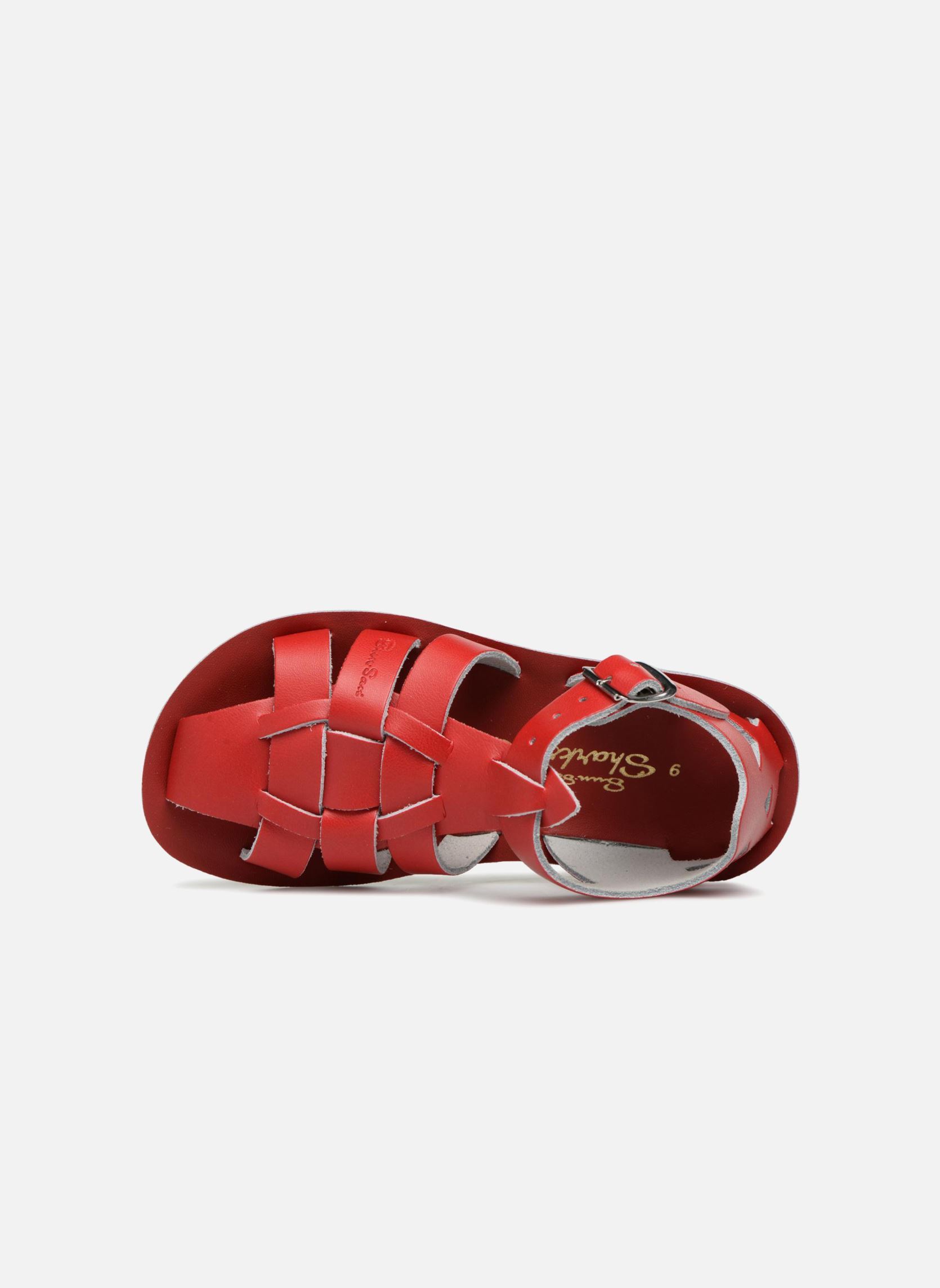 Sandales Shark rouge Salt-Water Sandales Shark rouge RED