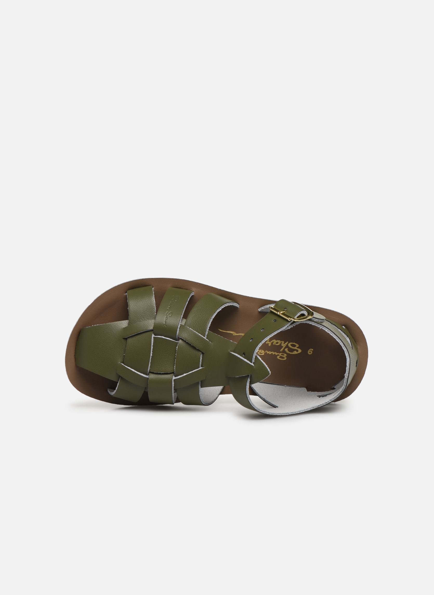 Sandales Shark vert Salt-Water Sandales Shark vert OLIVE