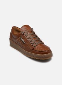 Baskets basses Rainbow homme marron