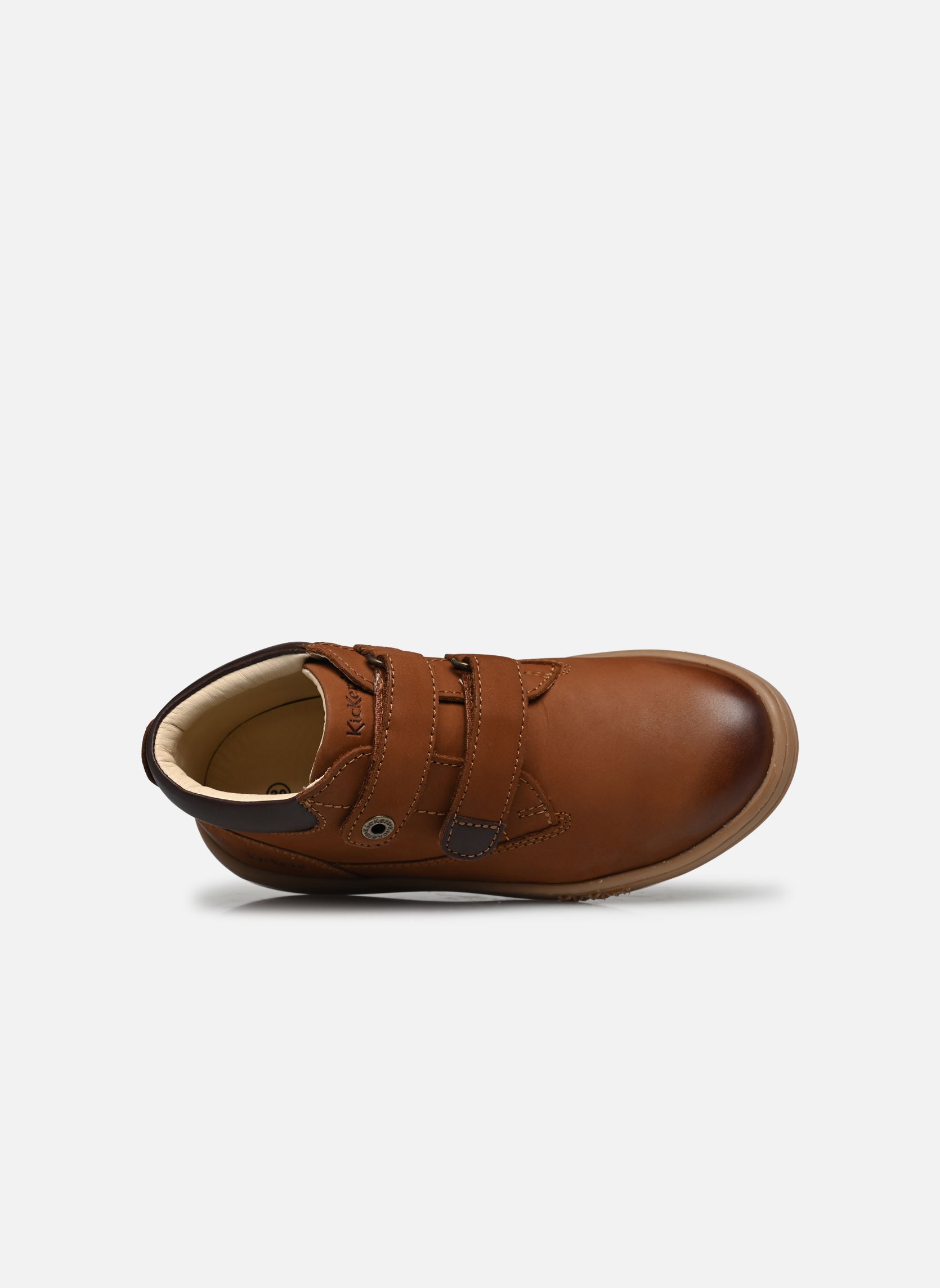 Stiefeletten / Ankle Boots Tackeasy jungen braun Kickers Stiefeletten / Ankle Boots Tackeasy jungen braun MARRON CLAIR
