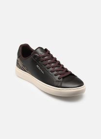 Baskets basses Rex homme vert