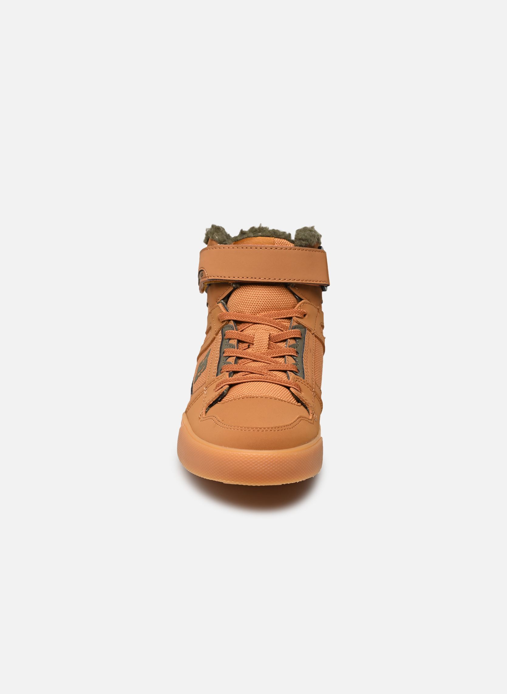 Niedrige Sneaker Pure High-Top Wnt Ev jungen braun DC Shoes Niedrige Sneaker Pure High-Top Wnt Ev jungen braun Wheat