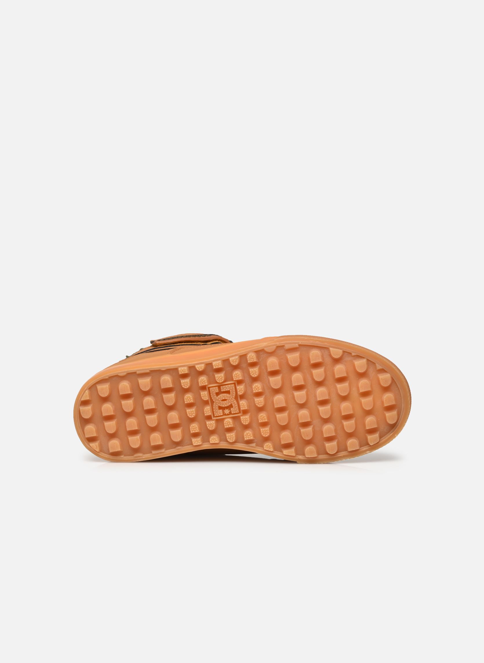 Niedrige Sneaker Pure High-Top Wnt Ev jungen braun DC Shoes Niedrige Sneaker Pure High-Top Wnt Ev jungen braun Wheat