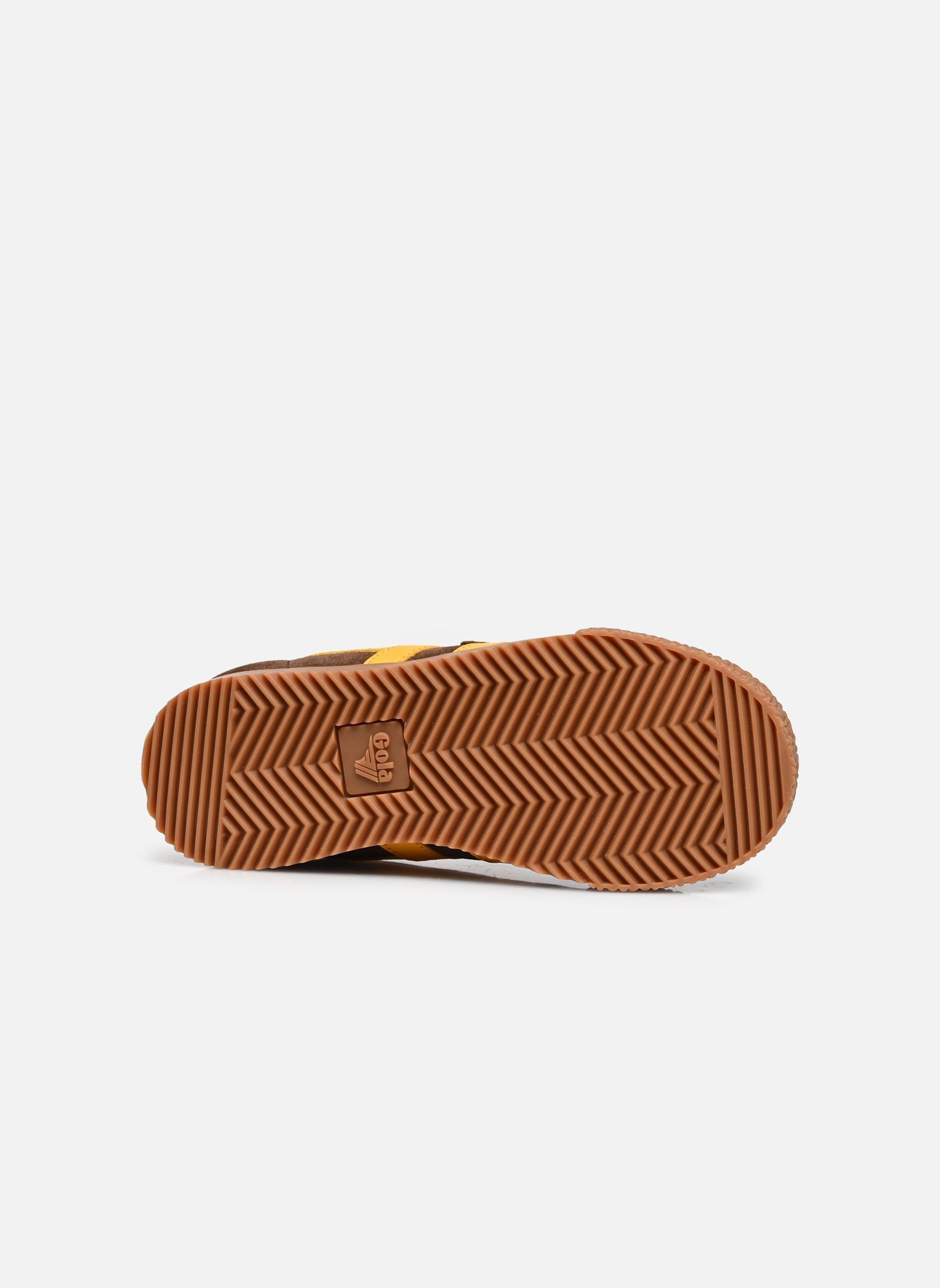 Baskets basses Harrier Strap garçon marron Gola Baskets basses Harrier Strap garçon marron DARK BROWN/SUN/MOODY ORANGE