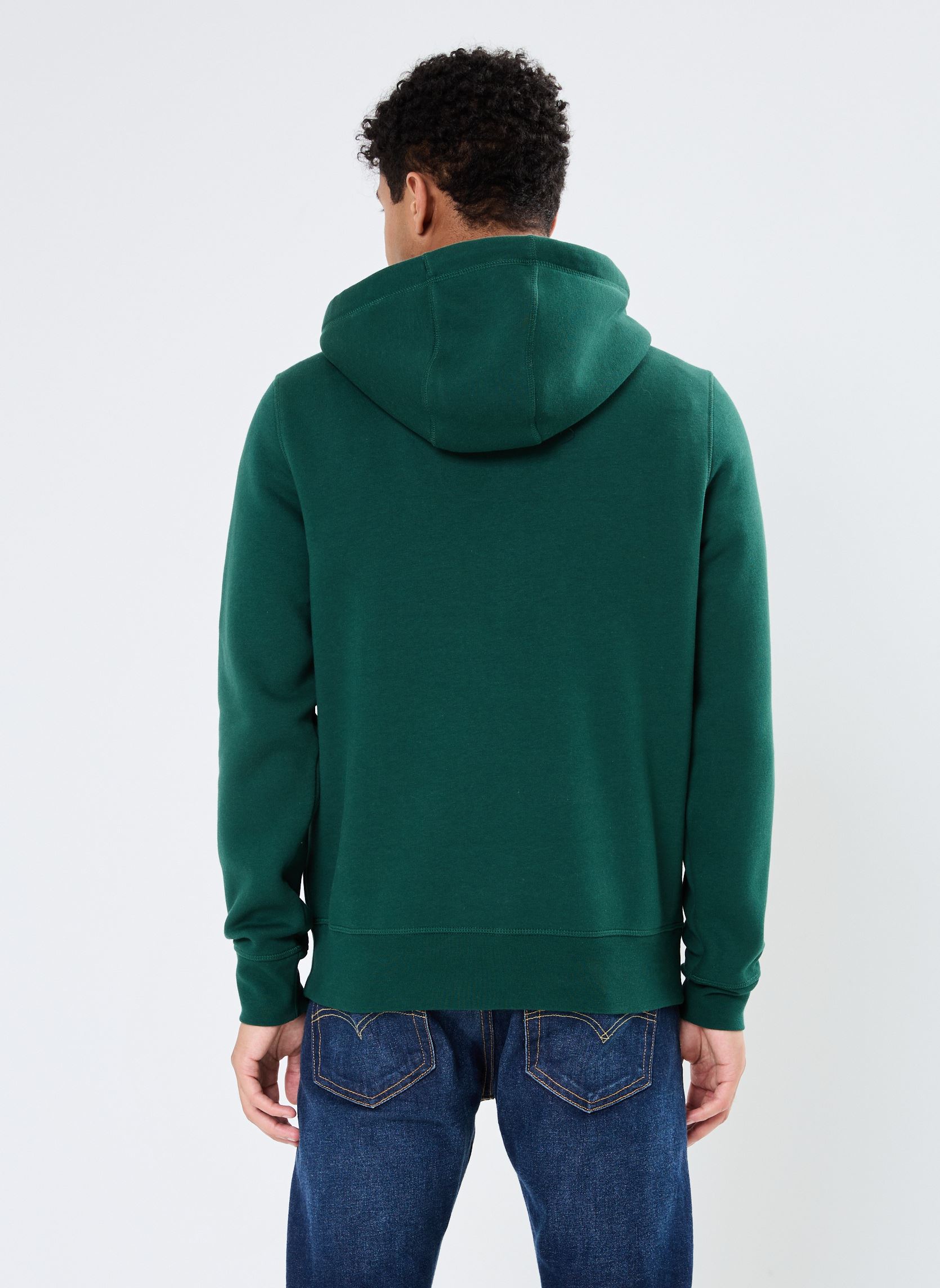 Sweats à capuche Tommy Logo Hoody homme vert Tommy Hilfiger Sweats à capuche Tommy Logo Hoody homme vert ORNAMENTAL GREEN
