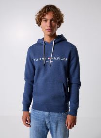 Sweats à capuche Tommy Logo Hoody homme vert