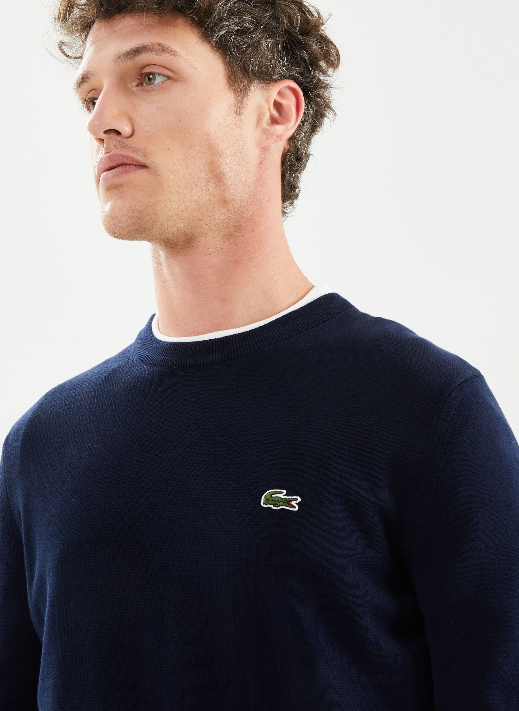 Pullover Pull à col rond en coton herren blau Lacoste Pullover Pull à col rond en coton herren blau MARINE