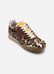 Baskets basses Dover homme bleu