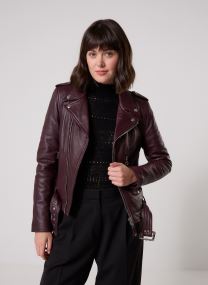 Jacken Veste Perfecto Ceinture-LCW8600 damen bordeaux Schott Jacken Veste Perfecto Ceinture-LCW8600 damen bordeaux PLUM