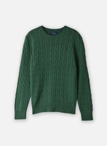 Truien Pull torsadé en coton 702674 jongens groen Polo Ralph Lauren Truien Pull torsadé en coton 702674 jongens groen VERANO GREEN/C0794
