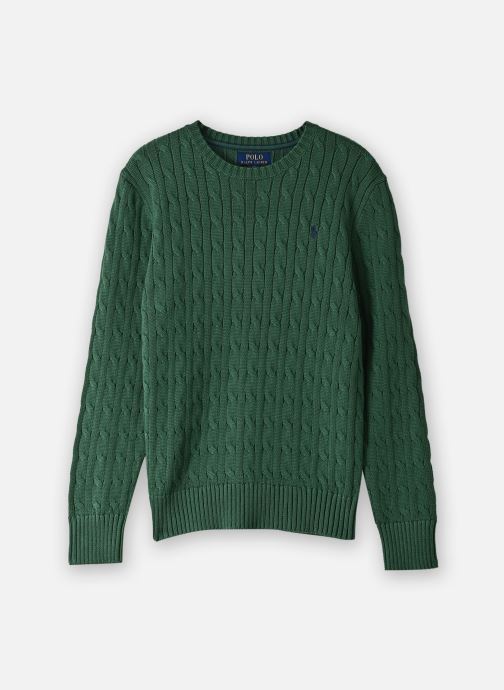 Polo Ralph Lauren Truien Pull torsadé en coton 702674 jongens groen