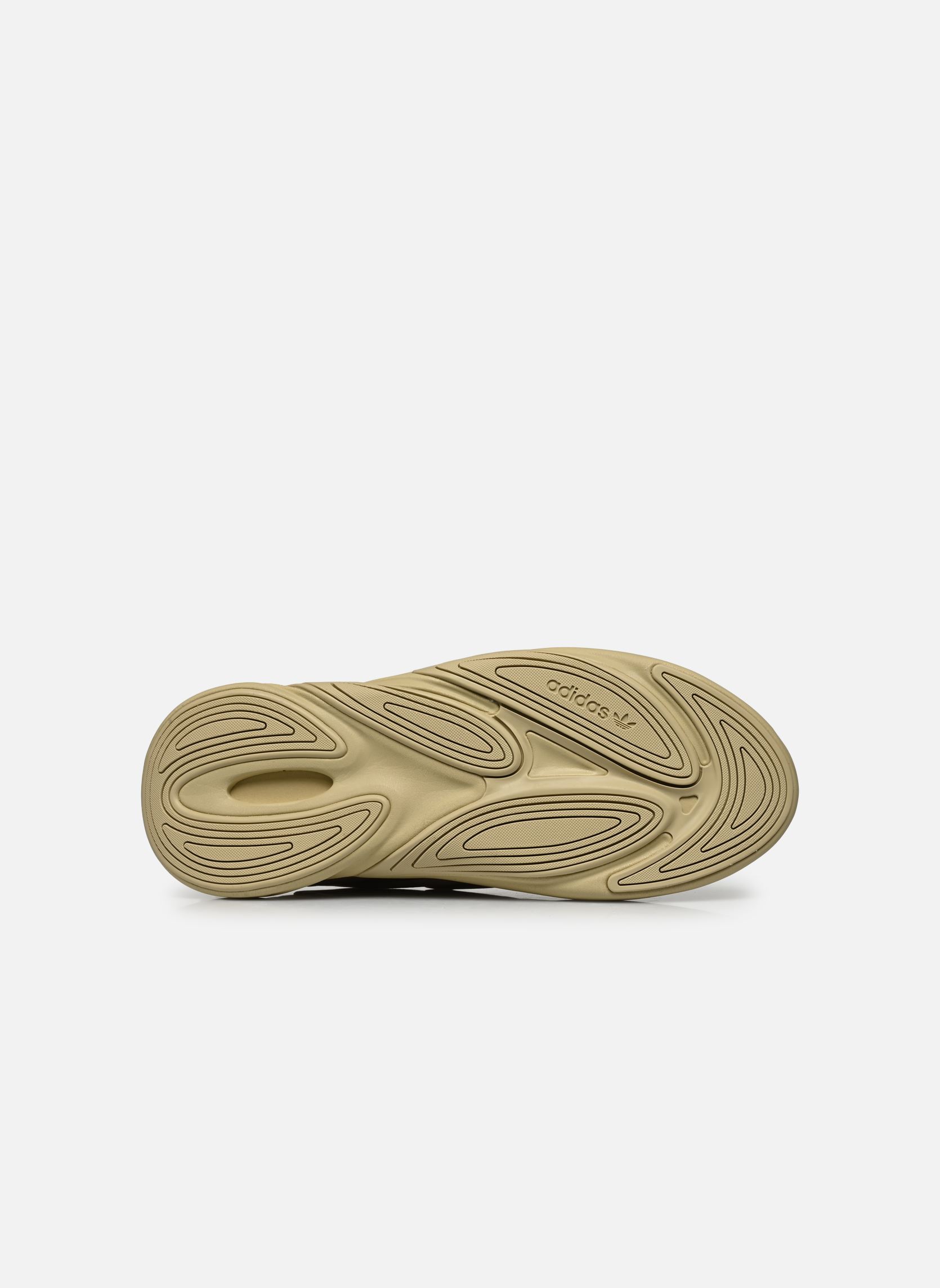 Niedrige Sneaker Ozelia herren beige adidas originals Niedrige Sneaker Ozelia herren beige SAVANN/SAVANN/SAVANN