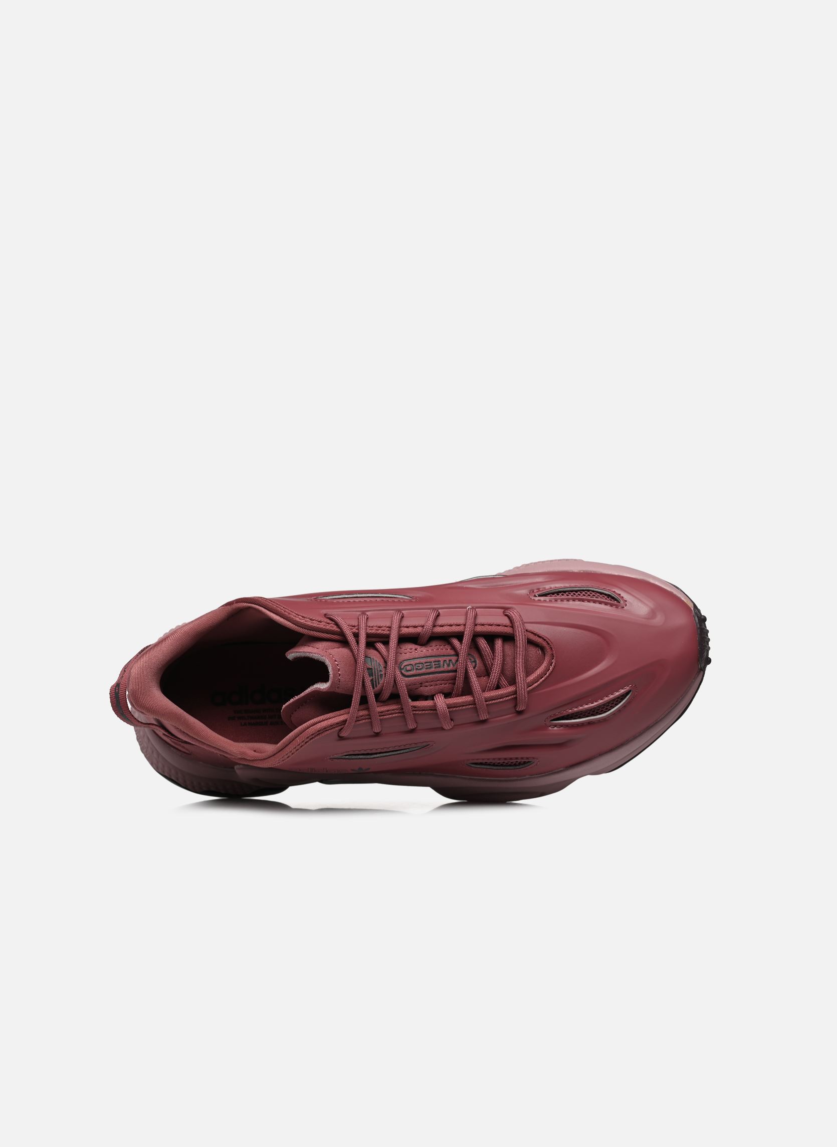 Baskets basses Ozweego Celox homme bordeaux adidas originals Baskets basses Ozweego Celox homme bordeaux QUICRI/WONOXI/CBLACK