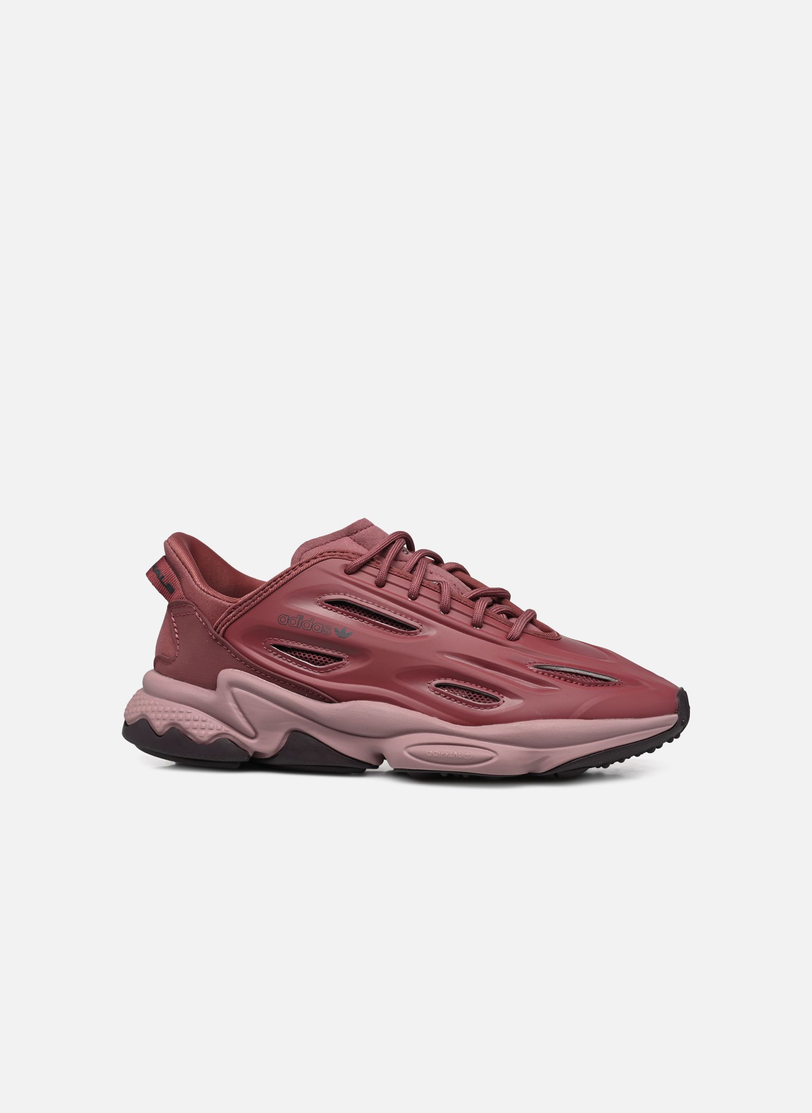 Niedrige Sneaker Ozweego Celox W damen bordeaux adidas originals Niedrige Sneaker Ozweego Celox W damen bordeaux QUICRI/WONOXI/CBLACK
