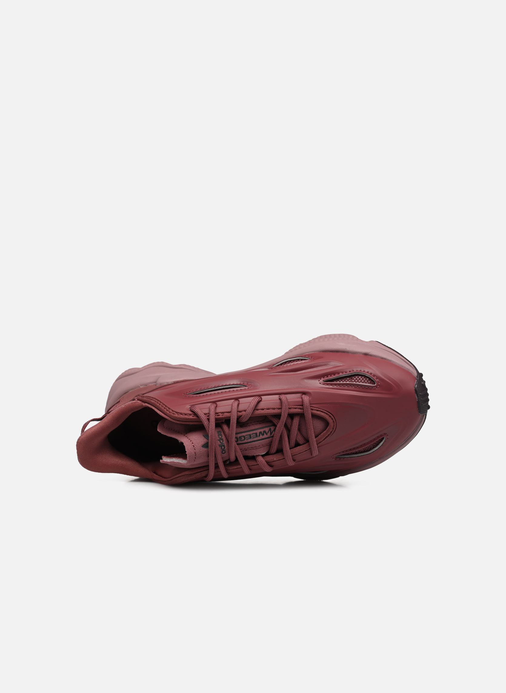 Niedrige Sneaker Ozweego Celox W damen bordeaux adidas originals Niedrige Sneaker Ozweego Celox W damen bordeaux QUICRI/WONOXI/CBLACK