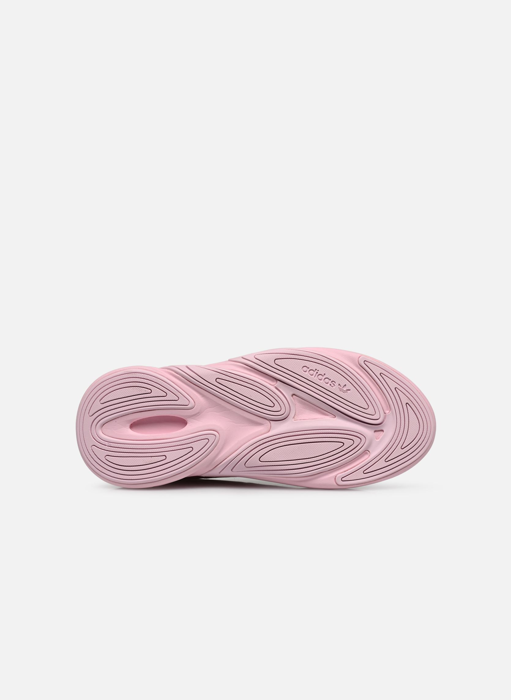 Niedrige Sneaker Ozelia J mädchen rosa adidas originals Niedrige Sneaker Ozelia J mädchen rosa Clpink/Cblack/Clpink