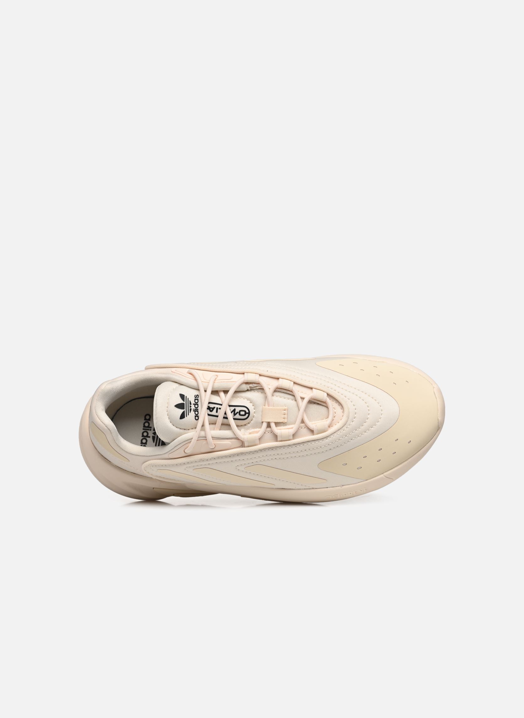 Niedrige Sneaker Ozelia J beige adidas originals Niedrige Sneaker Ozelia J beige Ecrtin/Ecrtin/Cblack