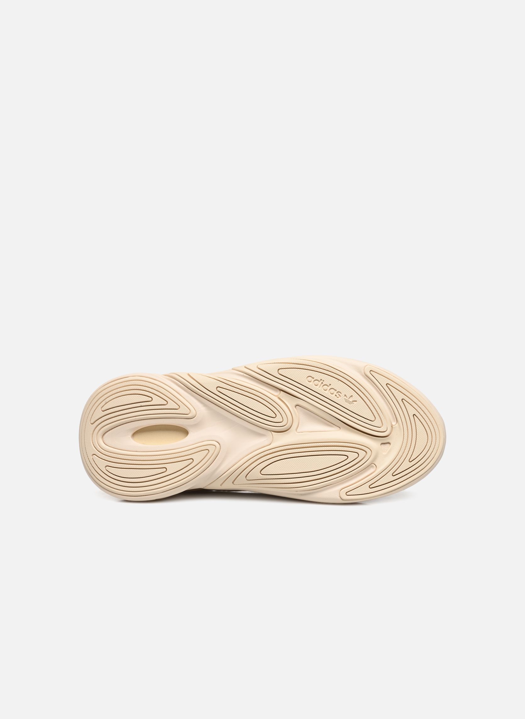 Niedrige Sneaker Ozelia J beige adidas originals Niedrige Sneaker Ozelia J beige Ecrtin/Ecrtin/Cblack