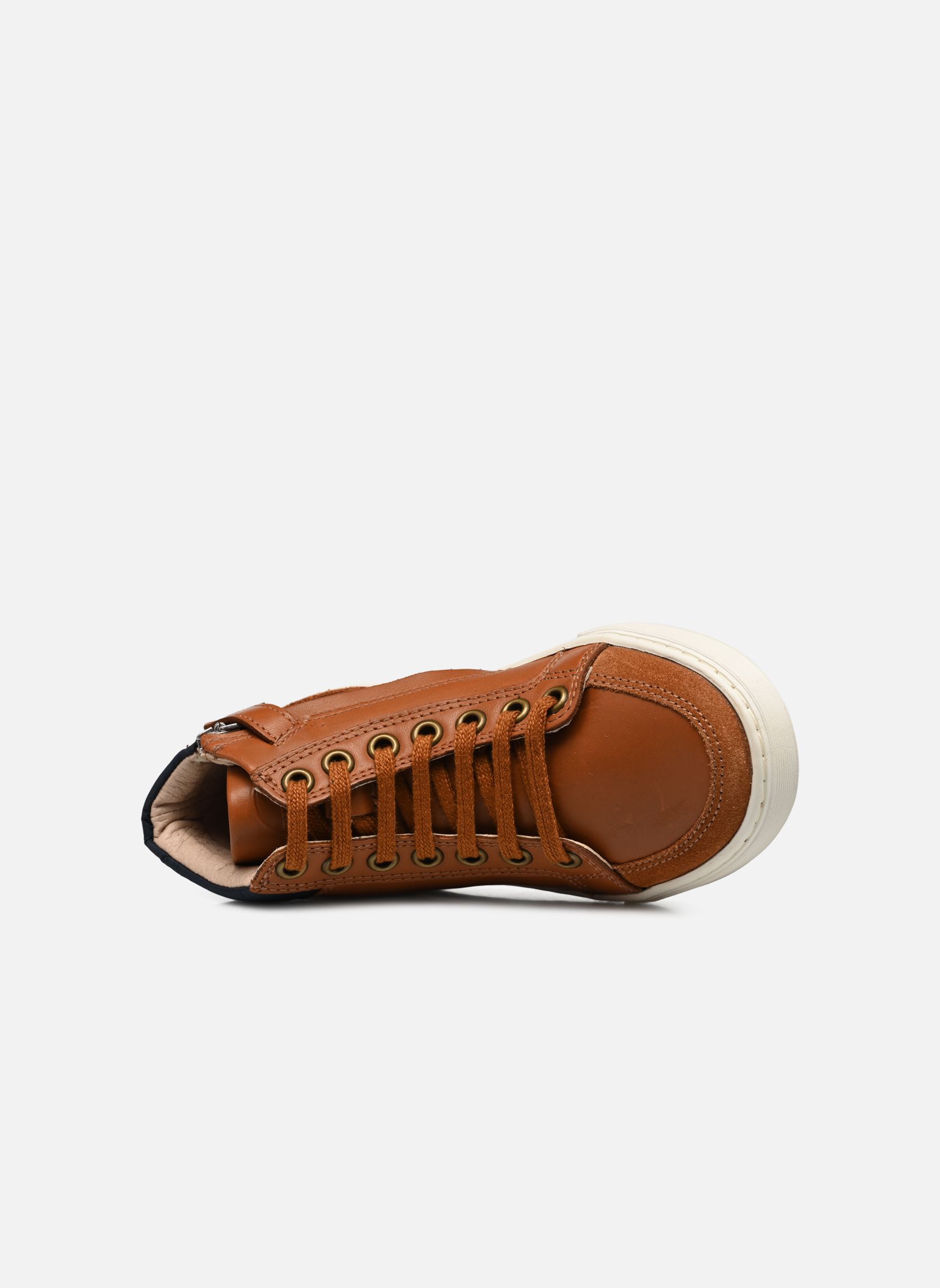 Baskets basses Ten Base Lace garçon marron Ten IS Baskets basses Ten Base Lace garçon marron CAMEL - NAVY