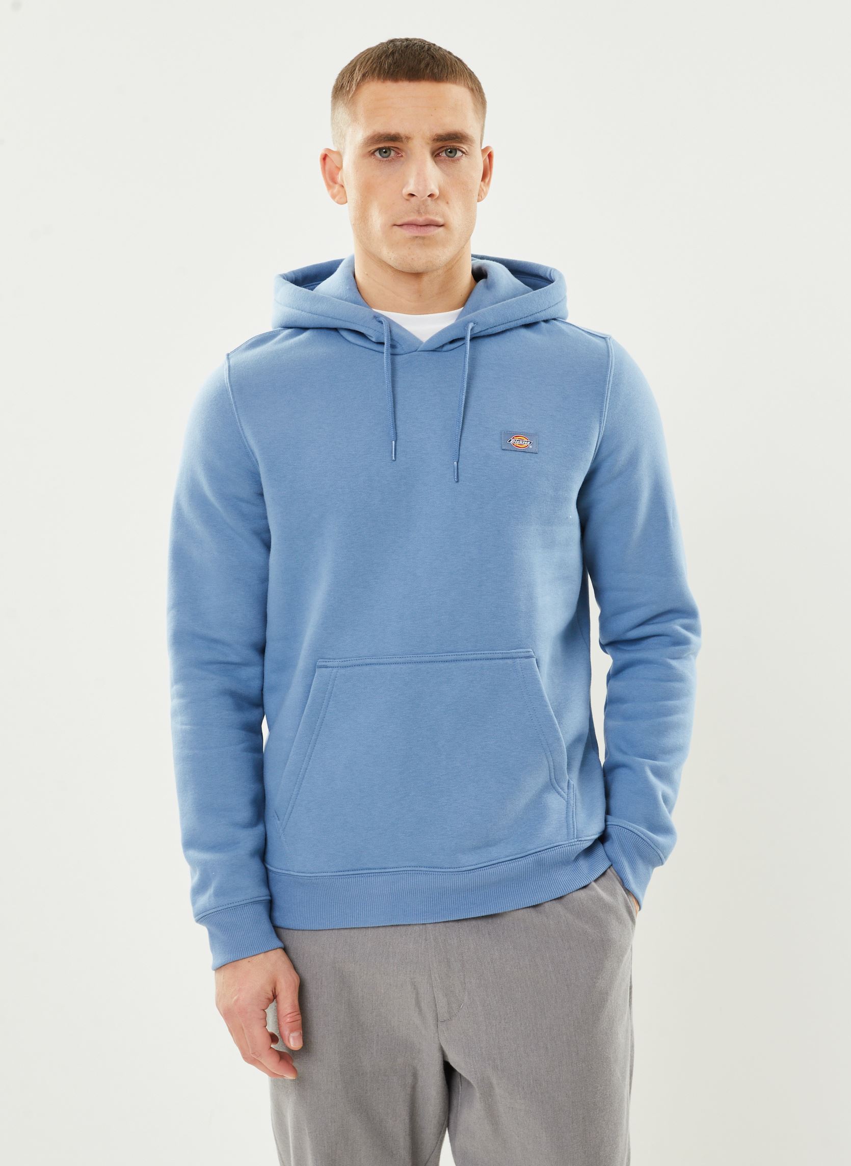 Vêtements Dickies Oakport Hoodie pour Accessoires - vue 2
