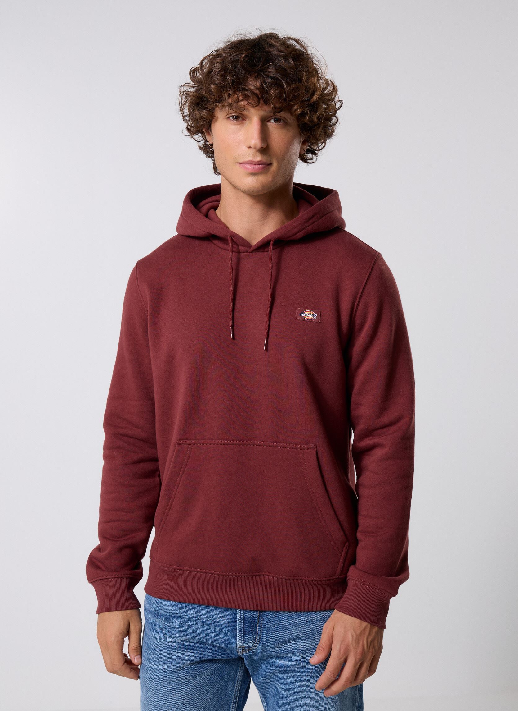 Vêtements Dickies Oakport Hoodie pour Accessoires - vue 4