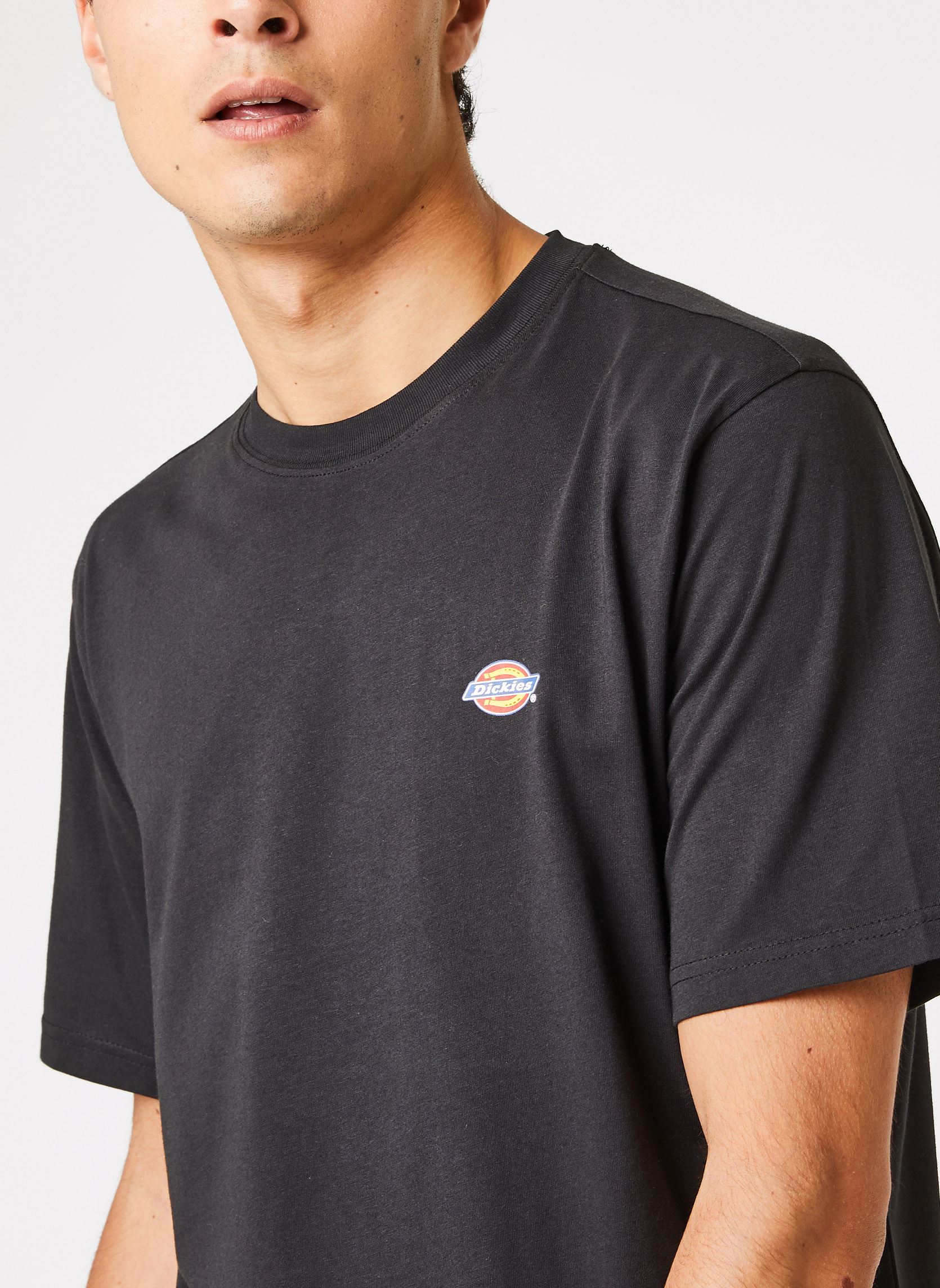 T-Shirts Ss Mapleton T-Shirt herren schwarz Dickies T-Shirts Ss Mapleton T-Shirt herren schwarz BLACK