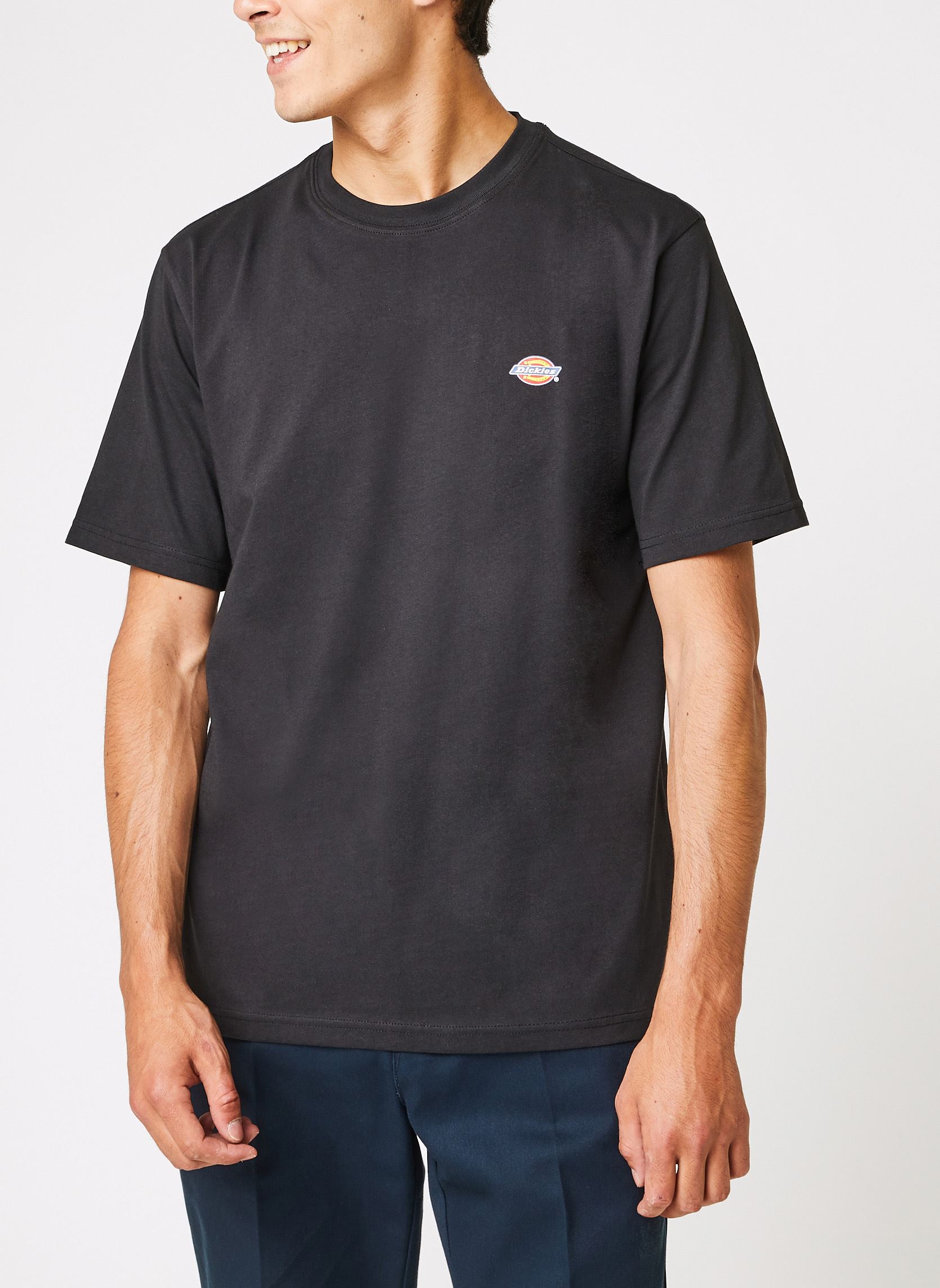 T-Shirts Ss Mapleton T-Shirt herren schwarz Dickies T-Shirts Ss Mapleton T-Shirt herren schwarz BLACK