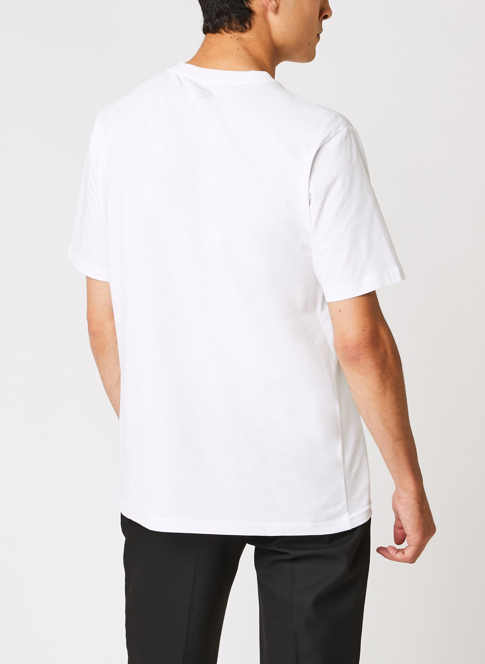 Tee-shirts Ss Mapleton T-Shirt homme blanc Dickies Tee-shirts Ss Mapleton T-Shirt homme blanc WHITE