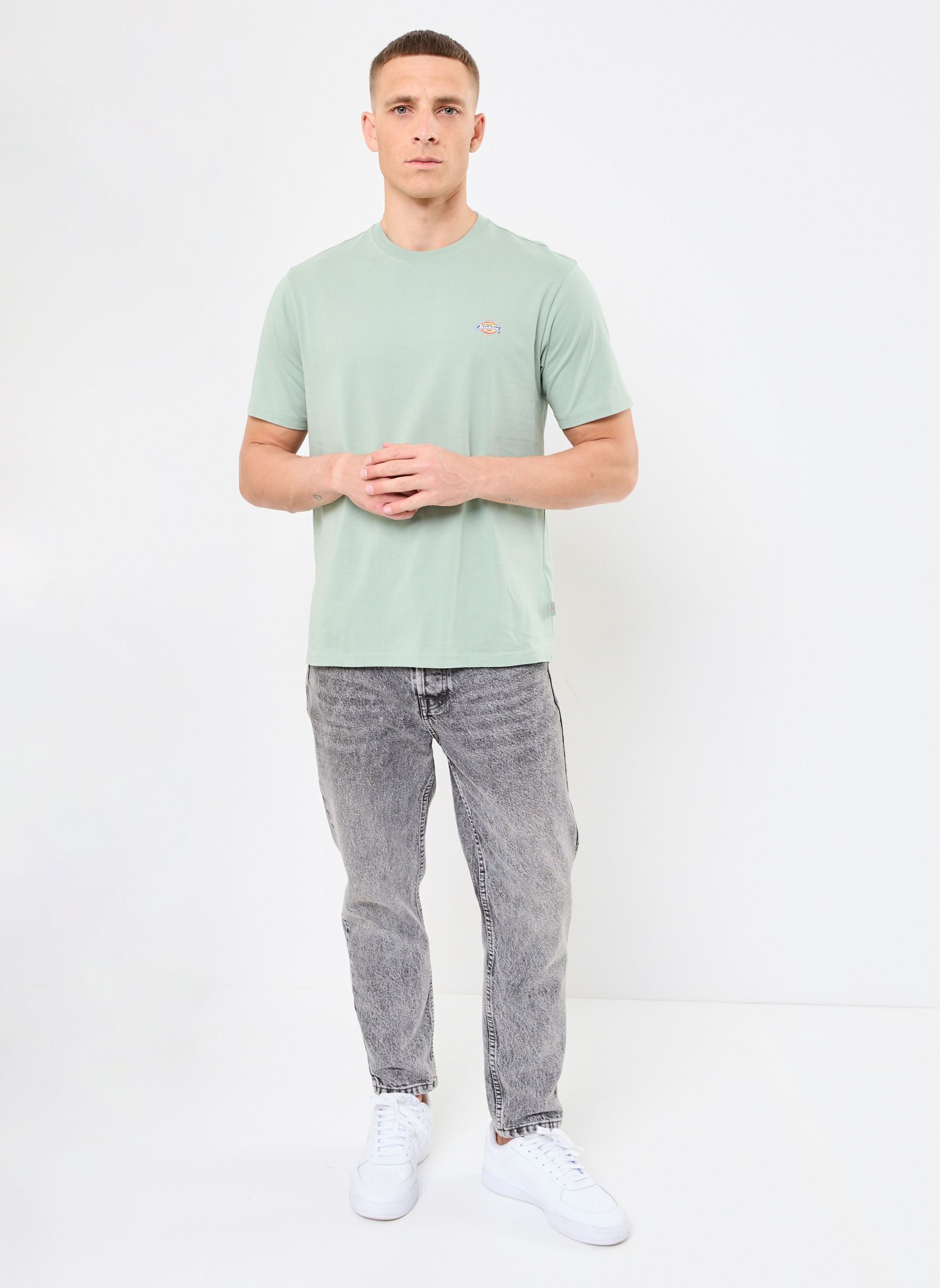 T-Shirts Ss Mapleton T-Shirt herren grün Dickies T-Shirts Ss Mapleton T-Shirt herren grün ICEBBERG GREEN