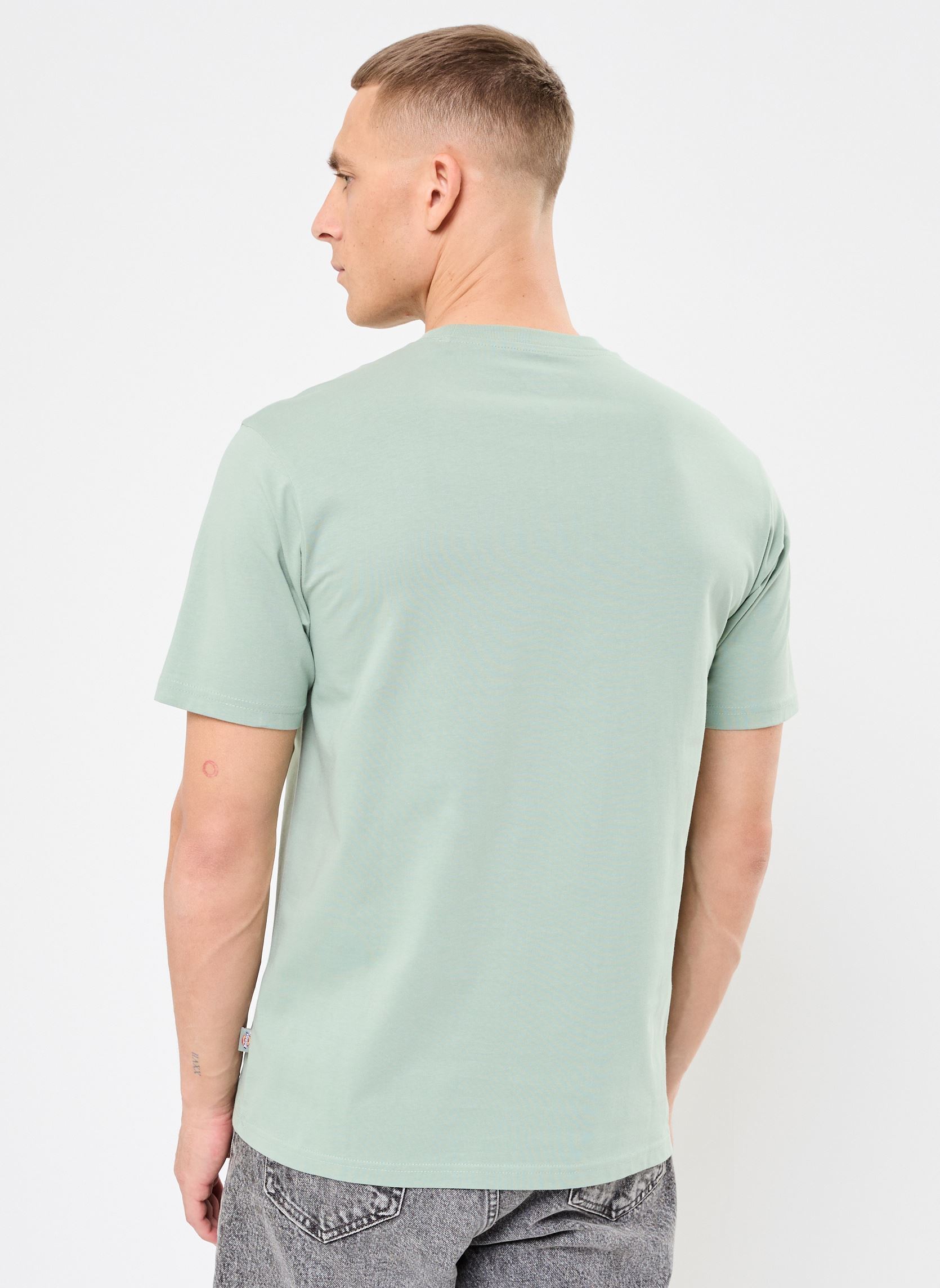 T-Shirts Ss Mapleton T-Shirt herren grün Dickies T-Shirts Ss Mapleton T-Shirt herren grün ICEBBERG GREEN