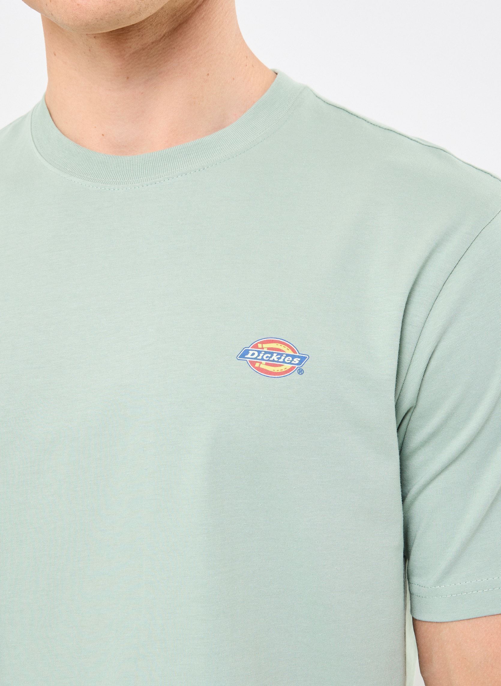 T-Shirts Ss Mapleton T-Shirt herren grün Dickies T-Shirts Ss Mapleton T-Shirt herren grün ICEBBERG GREEN