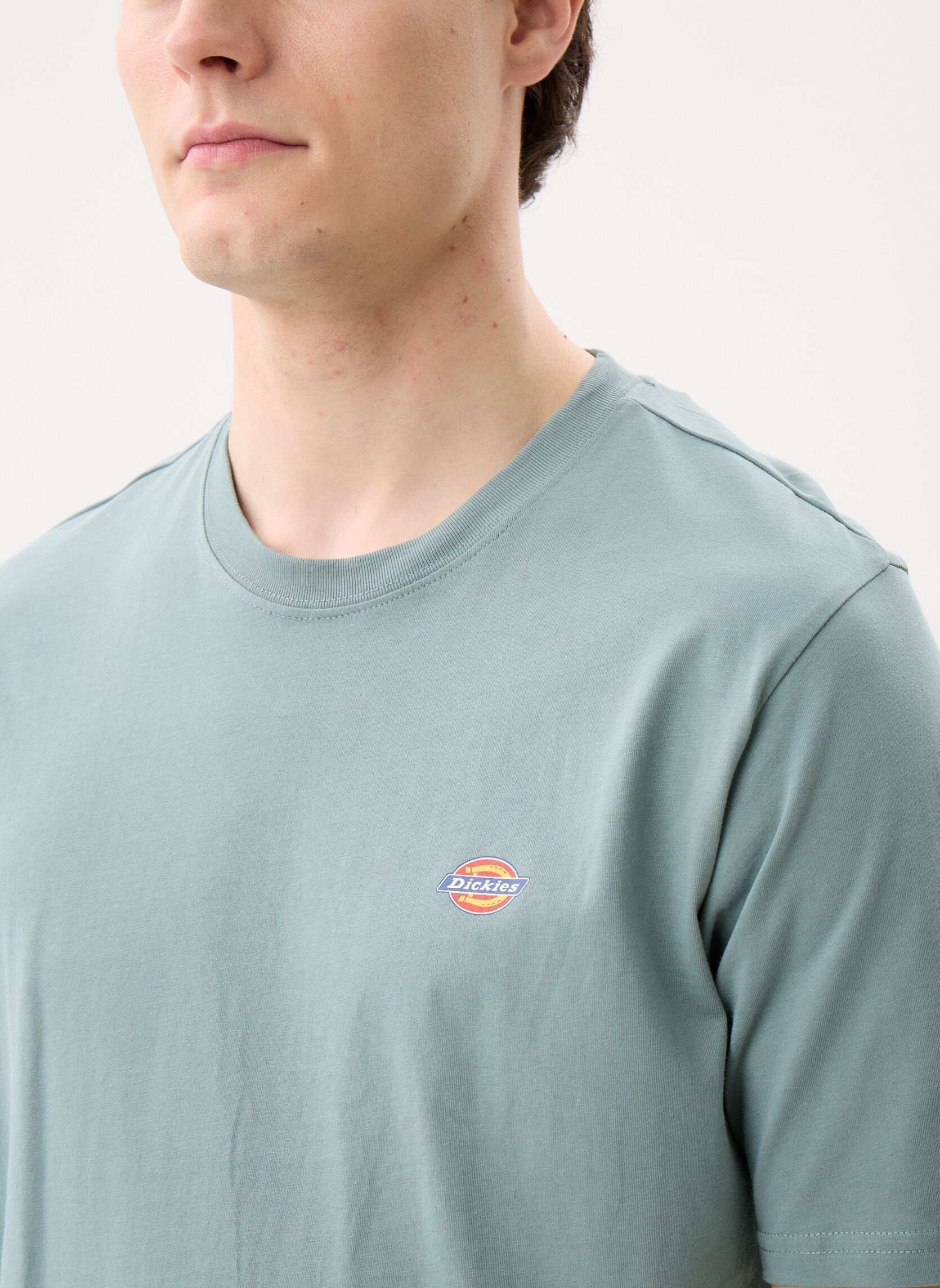 Tee-shirts Ss Mapleton T-Shirt homme vert Dickies Tee-shirts Ss Mapleton T-Shirt homme vert STORMY SEA