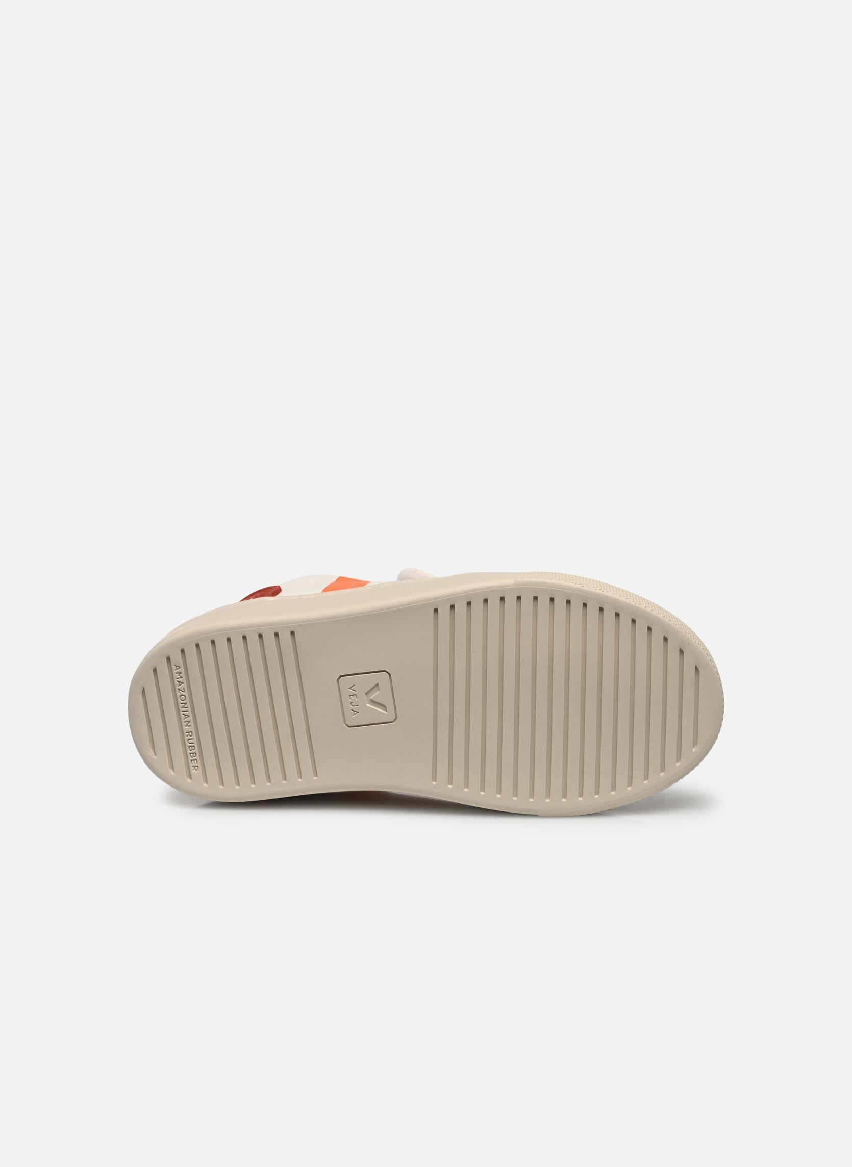 Baskets basses Small V-12 Velcro Leather blanc Veja Baskets basses Small V-12 Velcro Leather blanc EXTRA-WHITE_MULTICO-ROUILLE