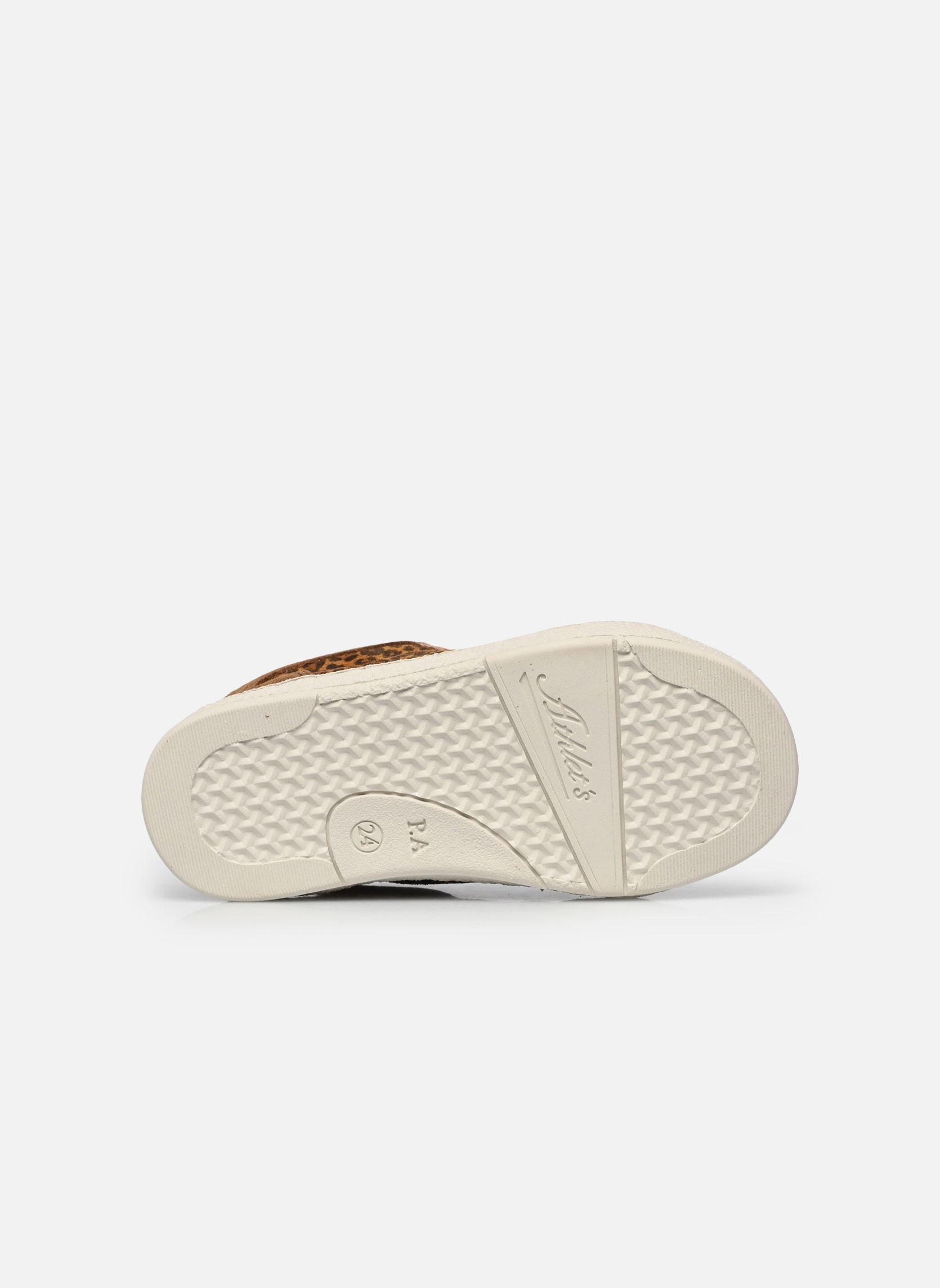 Niedrige Sneaker Mousse Zip Top mädchen braun Pom d Api Niedrige Sneaker Mousse Zip Top mädchen braun MIEL-NATUREL